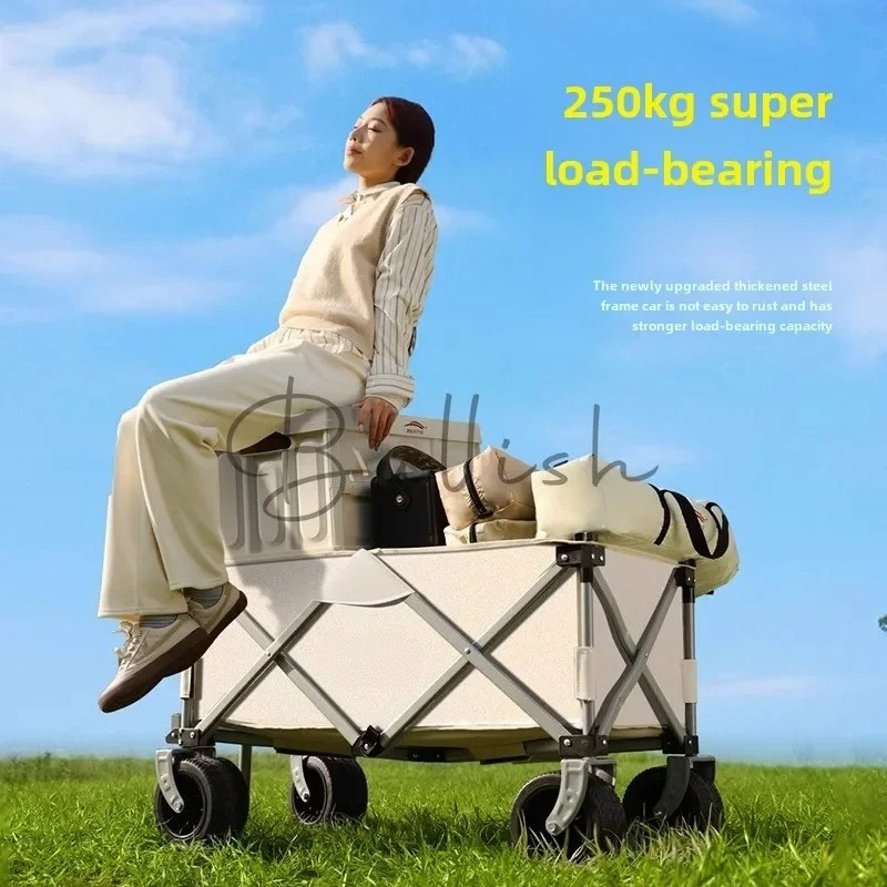 Camping trolley Outdoor foldin - Outdoor Camping Trolley avis et prix