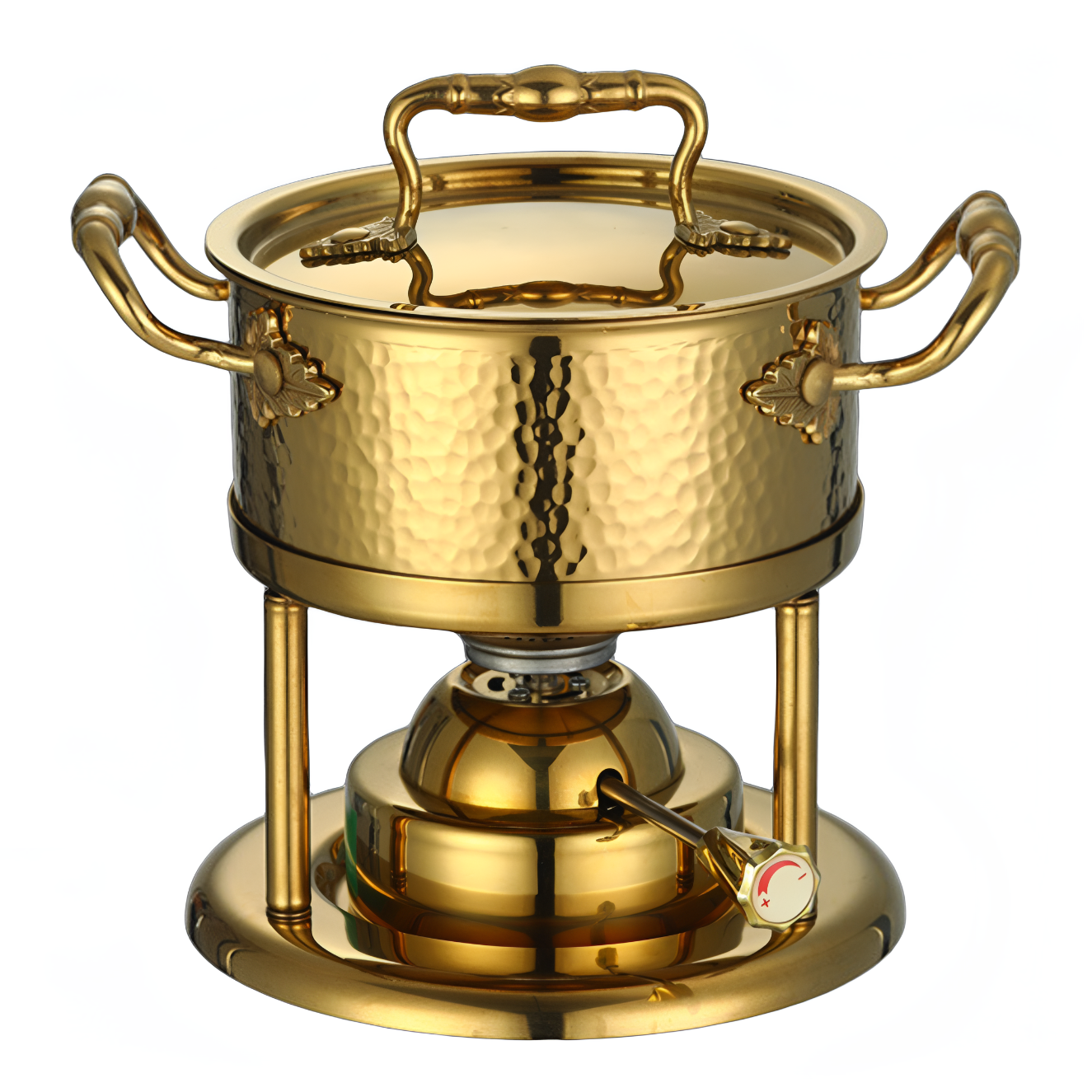 Outdoor Camping Stainless Stee - Outdoor Gas Stove avis et prix
