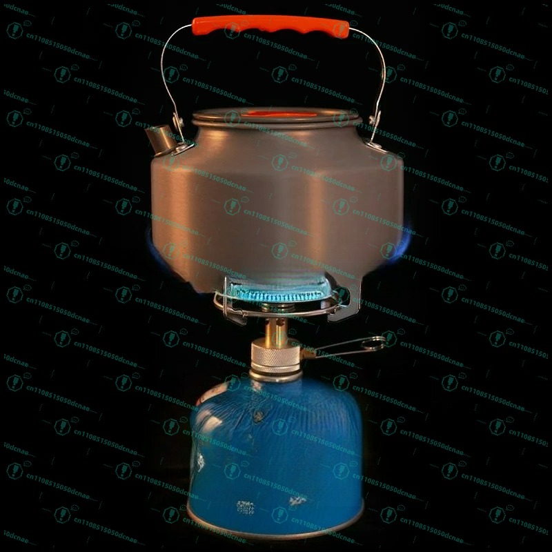 Outdoor gas stove, plate type, - Outdoor Gas Stove avis et prix