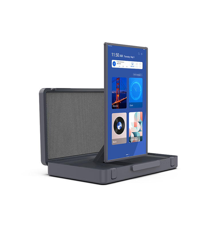 Portable Briefcase Suitcase To - Outdoor Camping Tv avis et prix