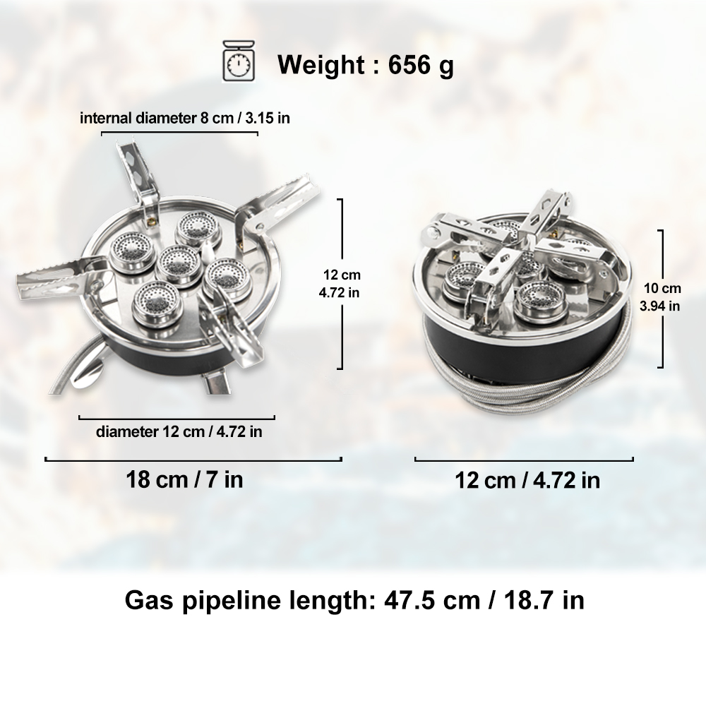 Widesea Camping 8800W Gas Stov - Outdoor Gas Camping Oven avis et prix